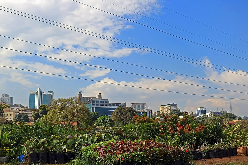 坎帕拉城市风景